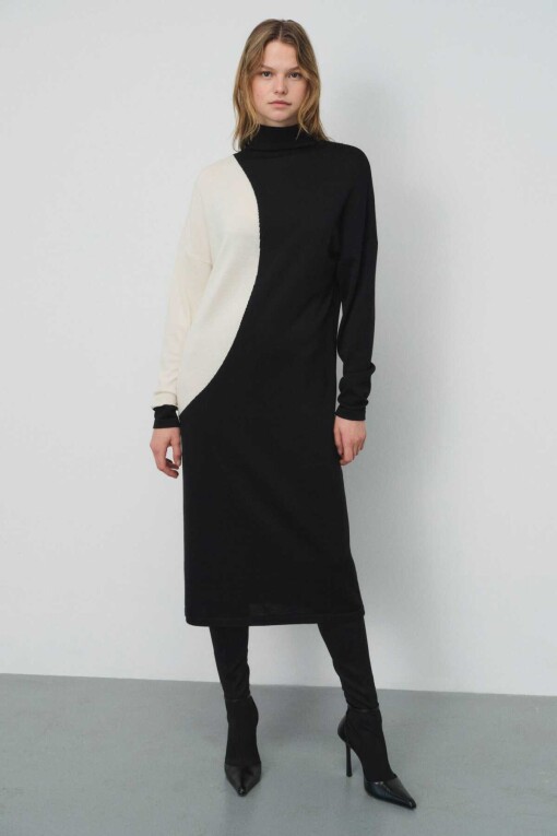 Black Turtle Neck Dress 
